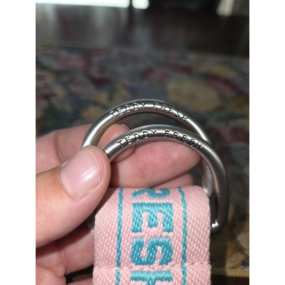 Teddy Fresh D-Ring Webbing Belt Pink Teal Embroidered Logo Streetwear